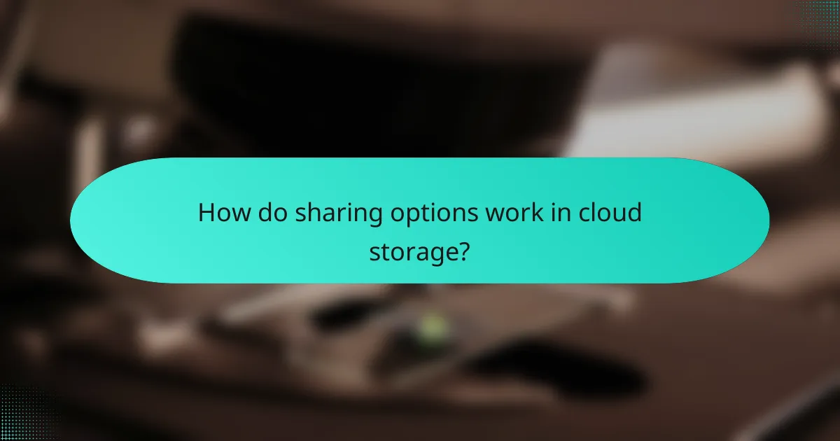 How do sharing options work in cloud storage?