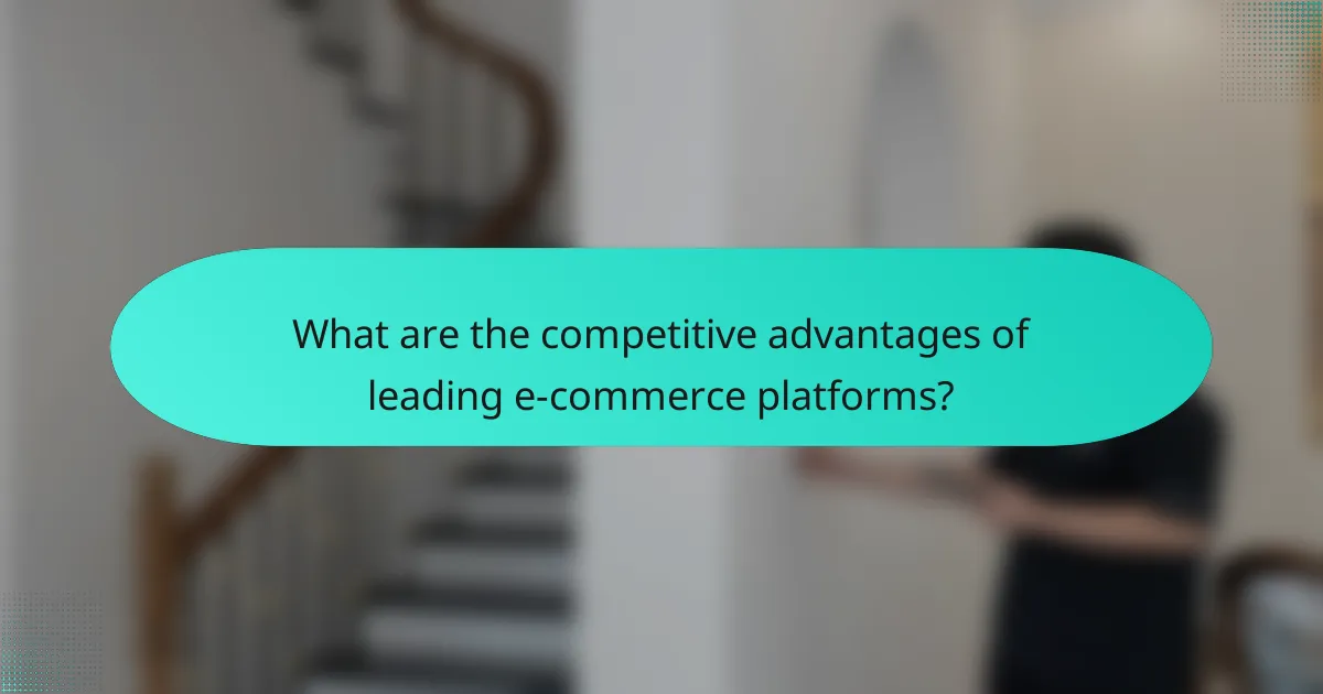 What are the competitive advantages of leading e-commerce platforms?